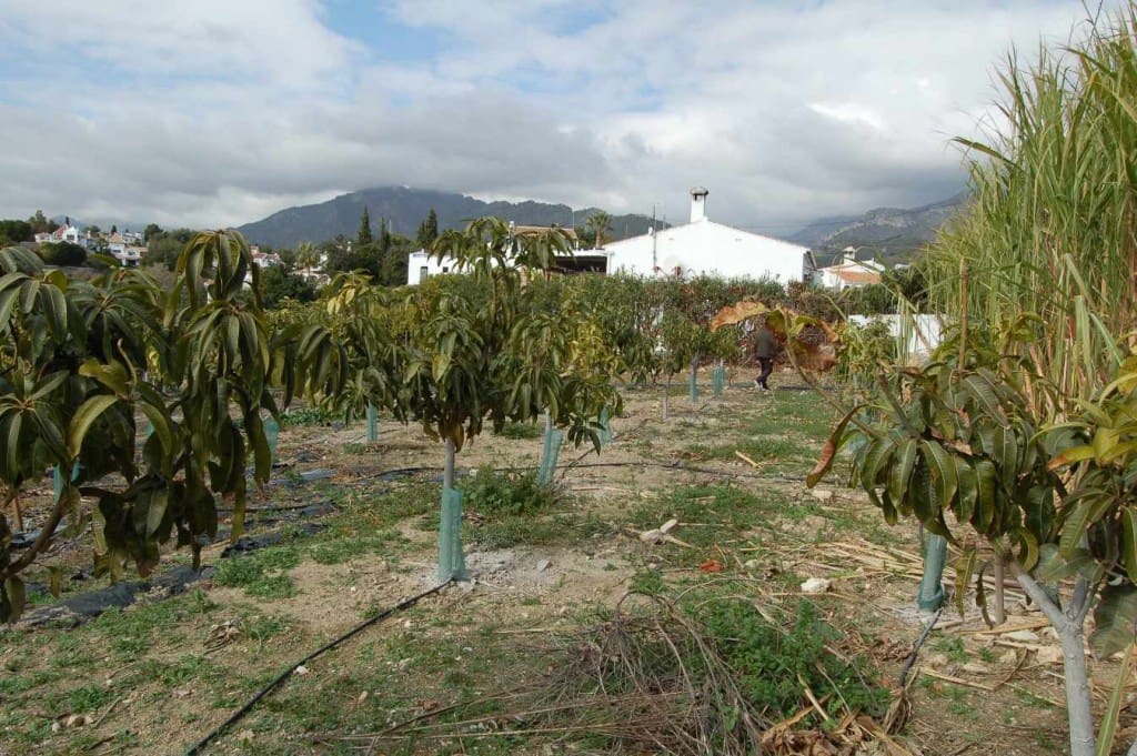 Byggegrund til salg i Nerja - € 225.000 (Ref: 4712439)