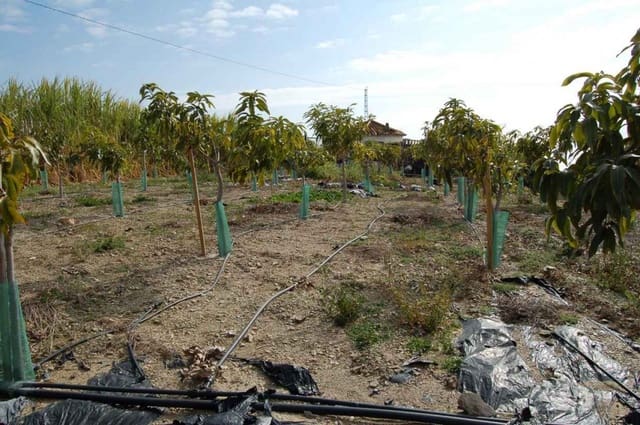 Building Plot for sale in Nerja - € 225,000 (Ref: 4712439)