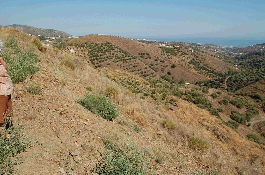 Grunde uden byggetilladelser til salg i Frigiliana - € 63.000 (Ref: 5074489)