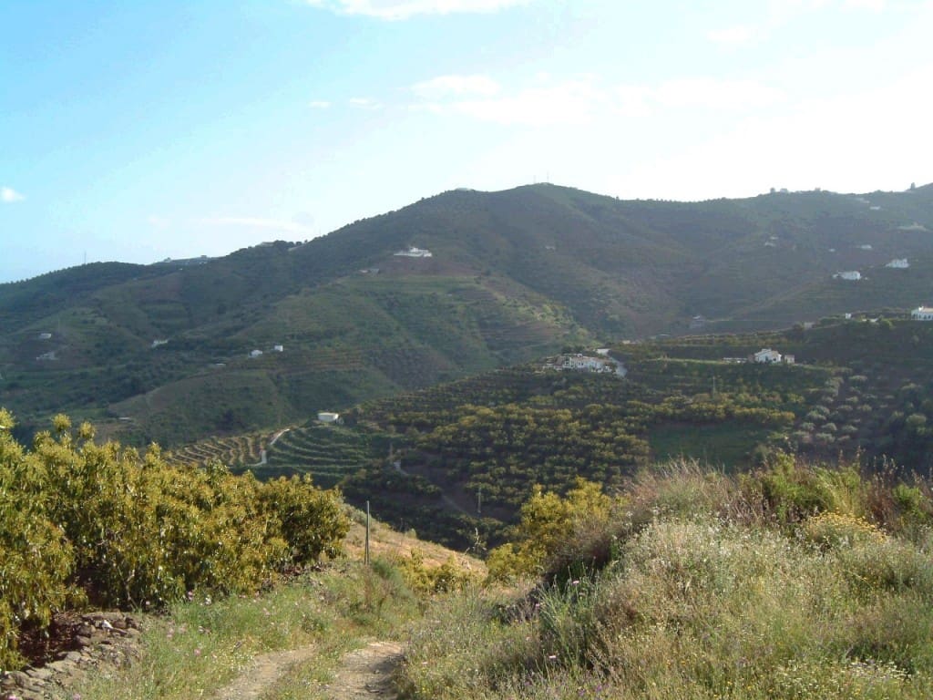 Grunde uden byggetilladelser til salg i Frigiliana - € 420.000 (Ref: 7678503)