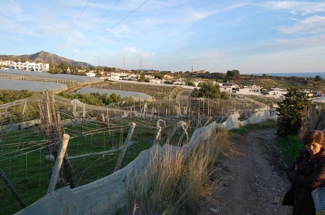 Byggegrund til salg i Nerja - € 84.000 (Ref: 7678545)