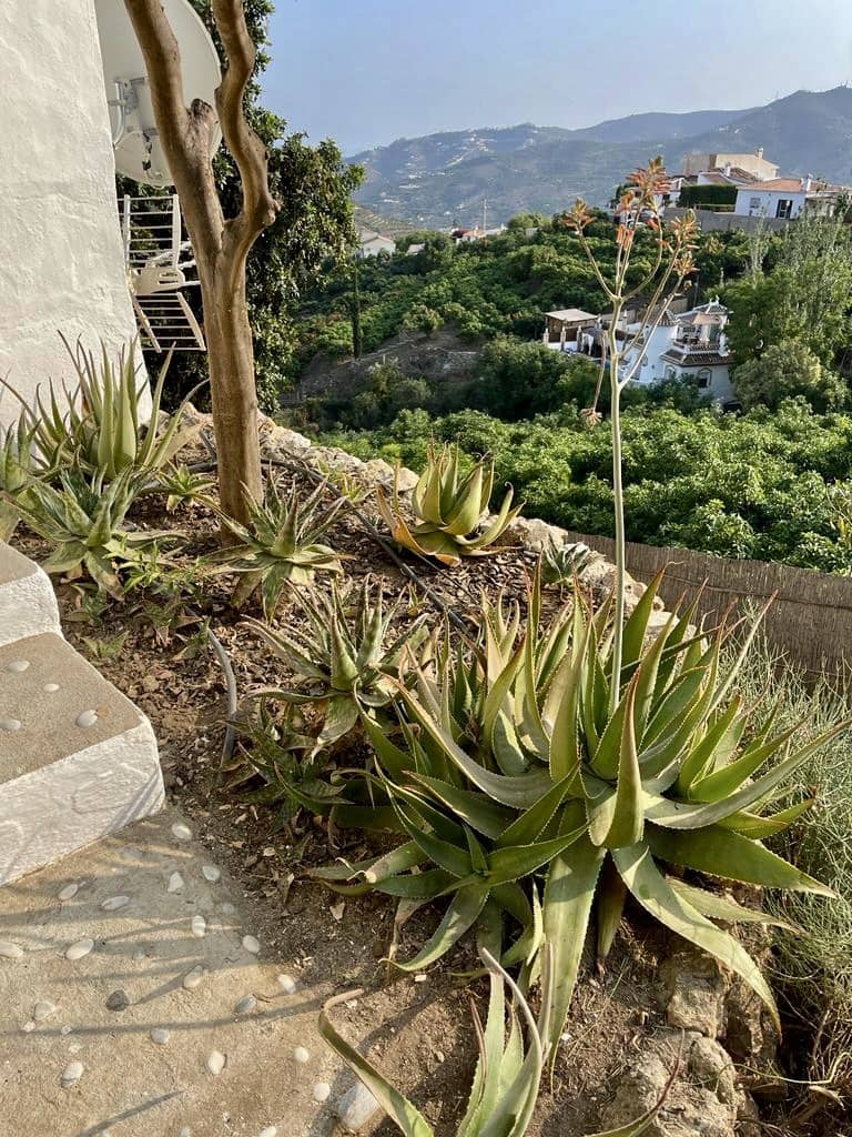 2 soveværelse Finca/Landehus til leje i Frigiliana med swimmingpool - € 990 (Ref: 8093801)