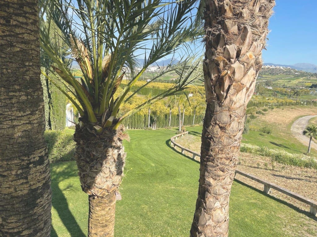 6 soveværelse Villa til salg i Coin med swimmingpool garage - € 2.875.000 (Ref: 8950130)