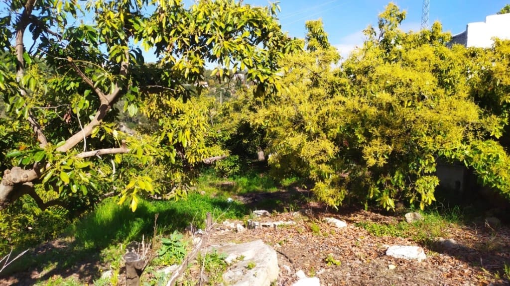 Byggegrund til salg i Frigiliana - € 80.000 (Ref: 9048637)