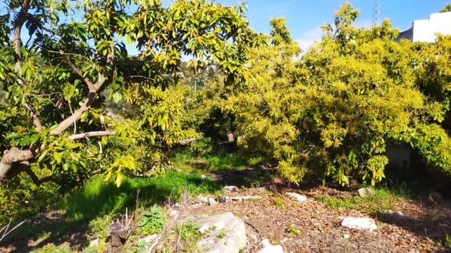 Tomt till salu i Frigiliana - 80 000 € (Ref: 9048637)