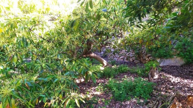 Tomt till salu i Frigiliana - 80 000 € (Ref: 9048637)