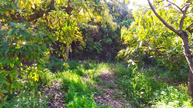 Tomt till salu i Frigiliana - 80 000 € (Ref: 9048637)