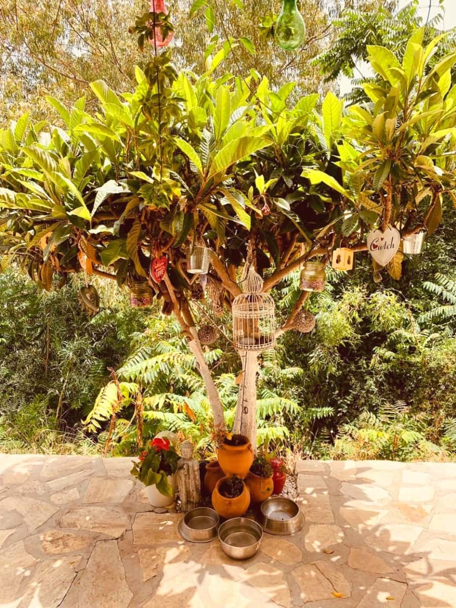 3 makuuhuone Maalaistalo myytävänä paikassa Torrox mukana uima-altaan 
autotalli - 425 000 € (Ref: 9062231)