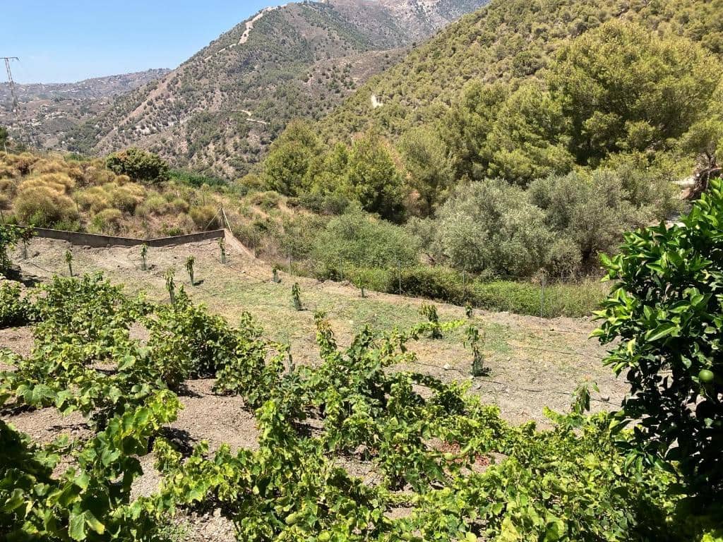 2 soveværelse Villa til salg i Frigiliana med swimmingpool - € 549.000 (Ref: 9118625)