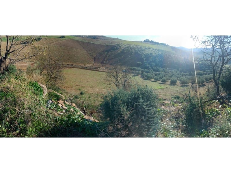 Grunde uden byggetilladelser til salg i Casabermeja - € 29.500 (Ref: 7578300)