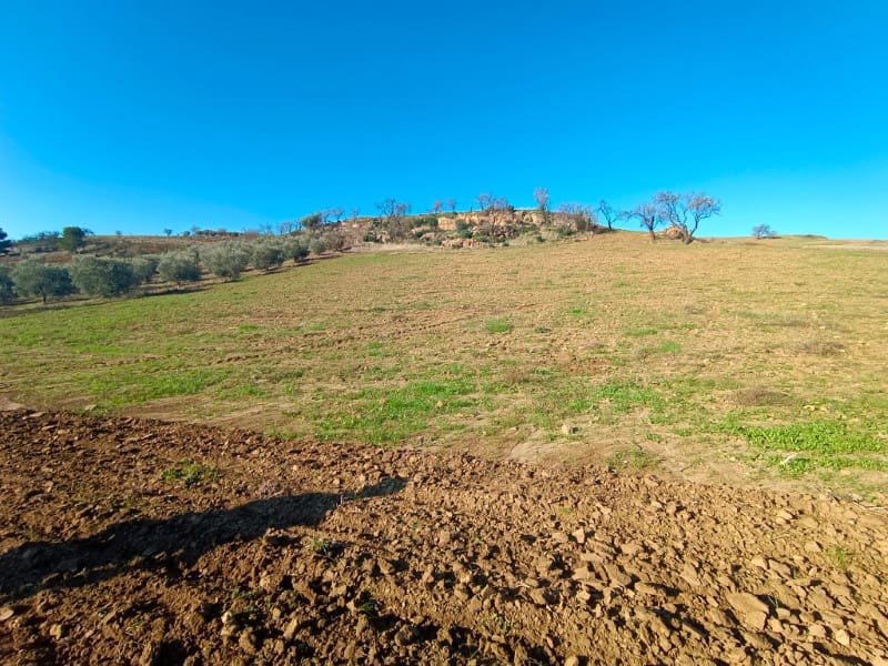 Grunde uden byggetilladelser til salg i Casabermeja - € 29.500 (Ref: 7578300)