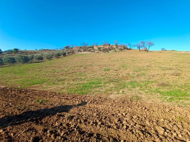 Mark till salu i Casabermeja - 29 500 € (Ref: 7578300)