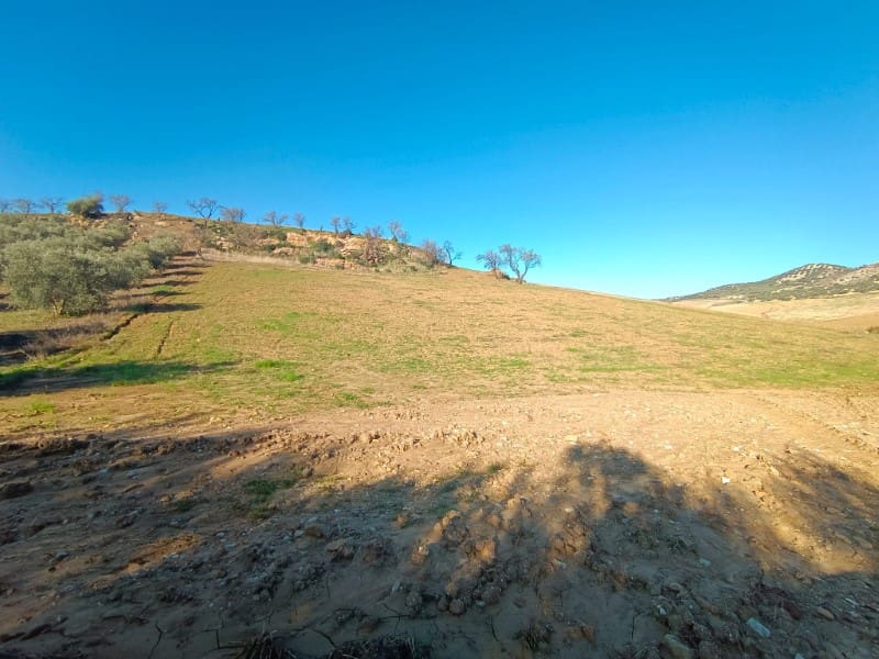 Grunde uden byggetilladelser til salg i Casabermeja - € 29.500 (Ref: 7578300)