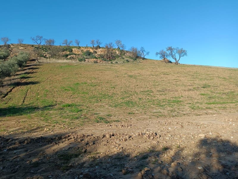 Grunde uden byggetilladelser til salg i Casabermeja - € 29.500 (Ref: 7578300)