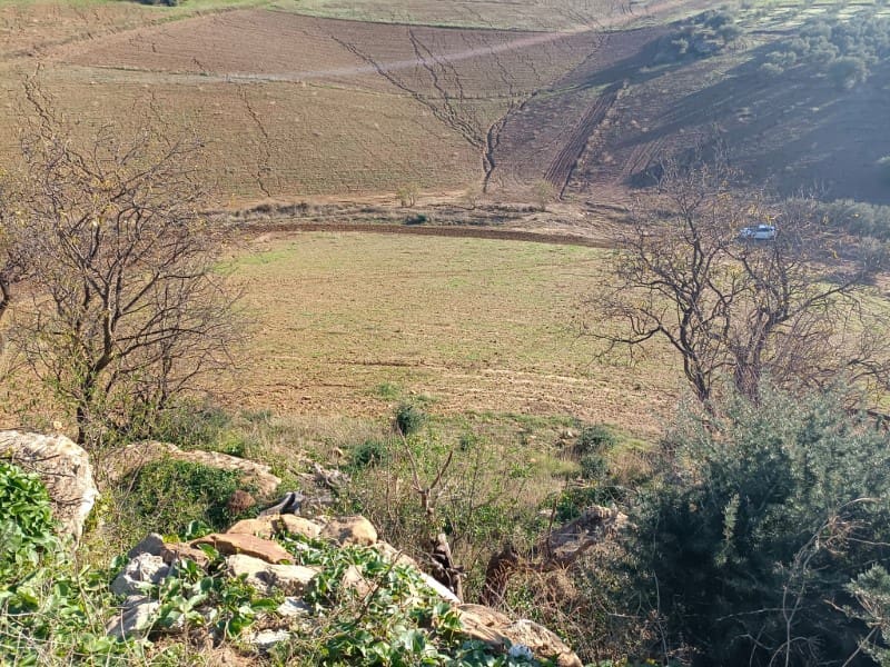 Grunde uden byggetilladelser til salg i Casabermeja - € 29.500 (Ref: 7578300)