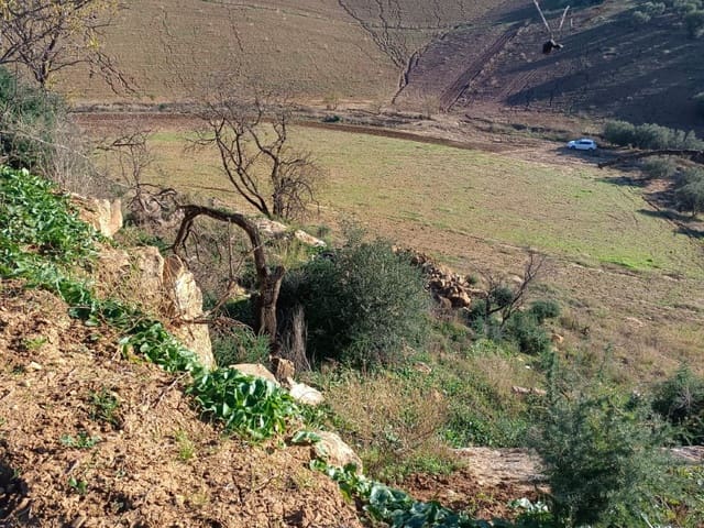 Mark till salu i Casabermeja - 29 500 € (Ref: 7578300)