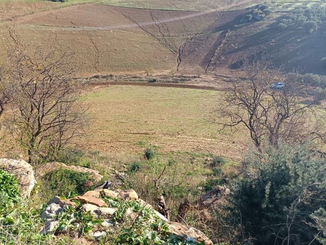 Mark till salu i Casabermeja - 29 500 € (Ref: 7578300)