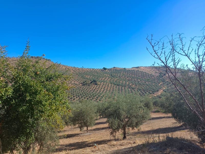 3 soveværelse Finca/Landehus til salg i Archidona - € 995.000 (Ref: 7935197)