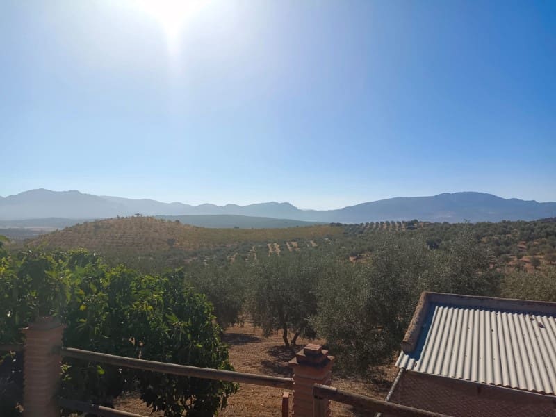 3 soveværelse Finca/Landehus til salg i Archidona - € 995.000 (Ref: 7935197)