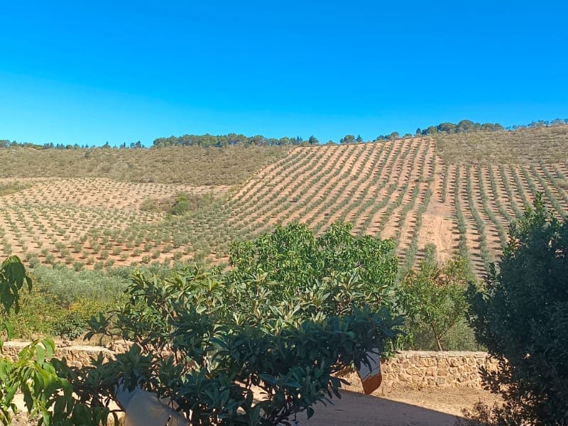 3 soveværelse Finca/Landehus til salg i Archidona - € 995.000 (Ref: 7935197)