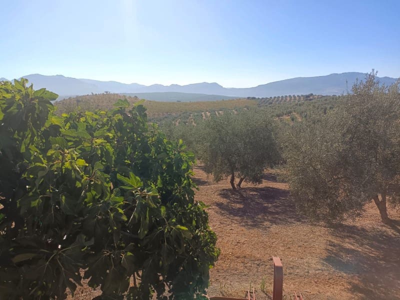 3 soveværelse Finca/Landehus til salg i Archidona - € 995.000 (Ref: 7935197)