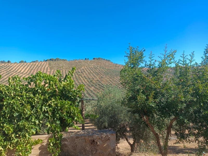 3 soveværelse Finca/Landehus til salg i Archidona - € 995.000 (Ref: 7935197)