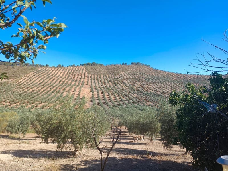 3 soveværelse Finca/Landehus til salg i Archidona - € 995.000 (Ref: 7935197)