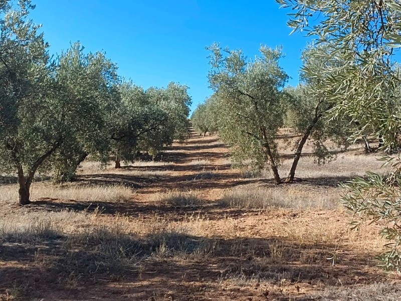 3 soveværelse Finca/Landehus til salg i Archidona - € 995.000 (Ref: 7935197)