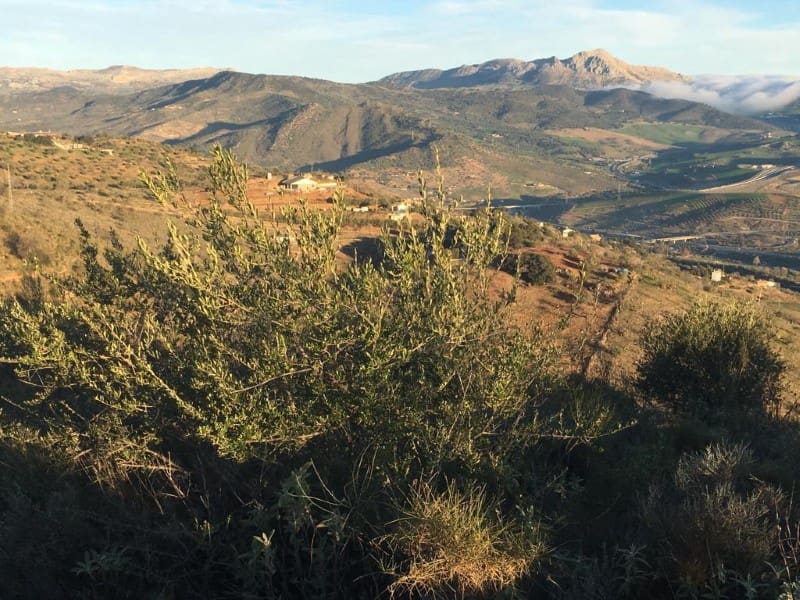 Finca/Herregård til salgs i Casabermeja - € 130 000 (Ref: 7995827)