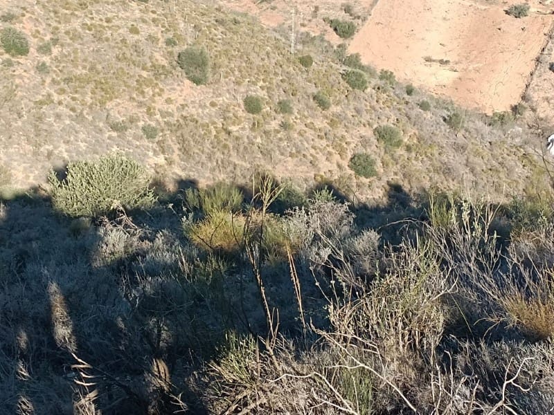 Finca/Herregård til salgs i Casabermeja - € 130 000 (Ref: 7995827)