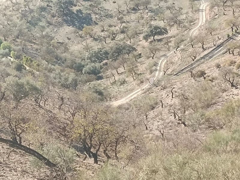 Finca/Herregård til salgs i Casabermeja - € 130 000 (Ref: 7995827)