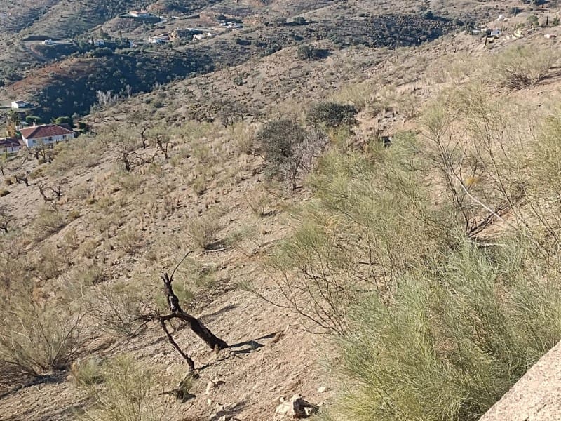 Finca/Herregård til salgs i Casabermeja - € 130 000 (Ref: 7995827)