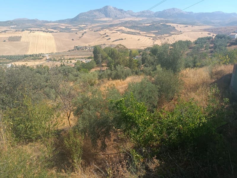 4 camera da letto Finca/Casa di Campagna in vendita in Casabermeja con garage - 325.000 € (Rif: 8437639)