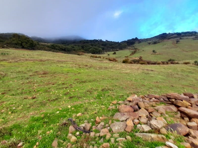 Solar/Parcela en Villanueva de la Concepcion en venta - 55.000 € (Ref: 8537595)