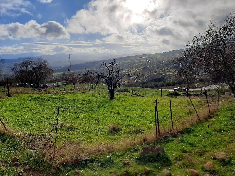 Solar/Parcela en Villanueva de la Concepcion en venta - 55.000 € (Ref: 8537595)