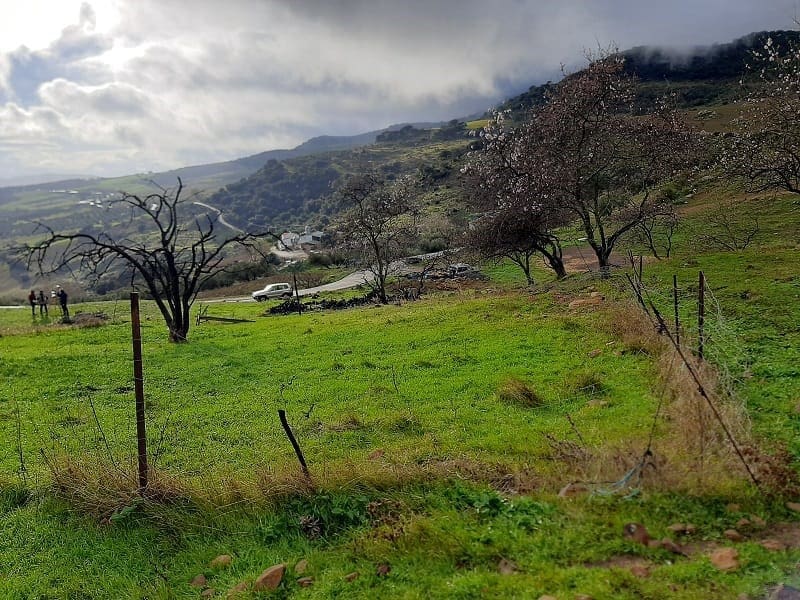 Solar/Parcela en Villanueva de la Concepcion en venta - 55.000 € (Ref: 8537595)