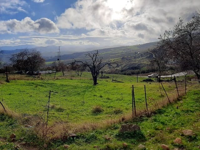 Building Plot for sale in Villanueva de la Concepcion - € 55,000 (Ref: 8537595)