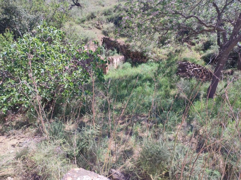 Quinta/Casa Rural para venda em Almogia - 48 000 € (Ref: 8697215)