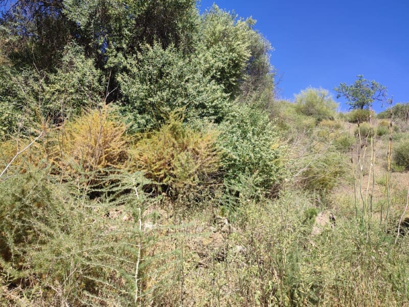 Quinta/Casa Rural para venda em Almogia - 48 000 € (Ref: 8697215)