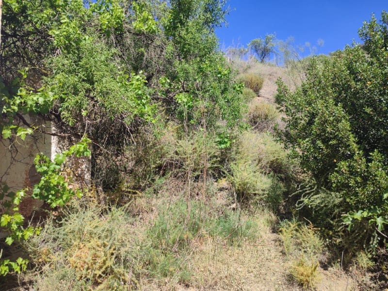 Quinta/Casa Rural para venda em Almogia - 48 000 € (Ref: 8697215)