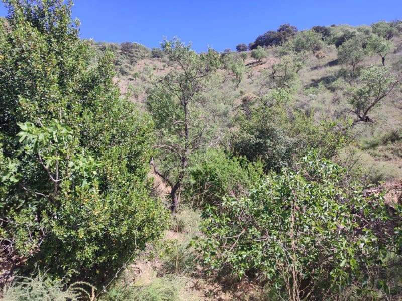 Quinta/Casa Rural para venda em Almogia - 48 000 € (Ref: 8697215)