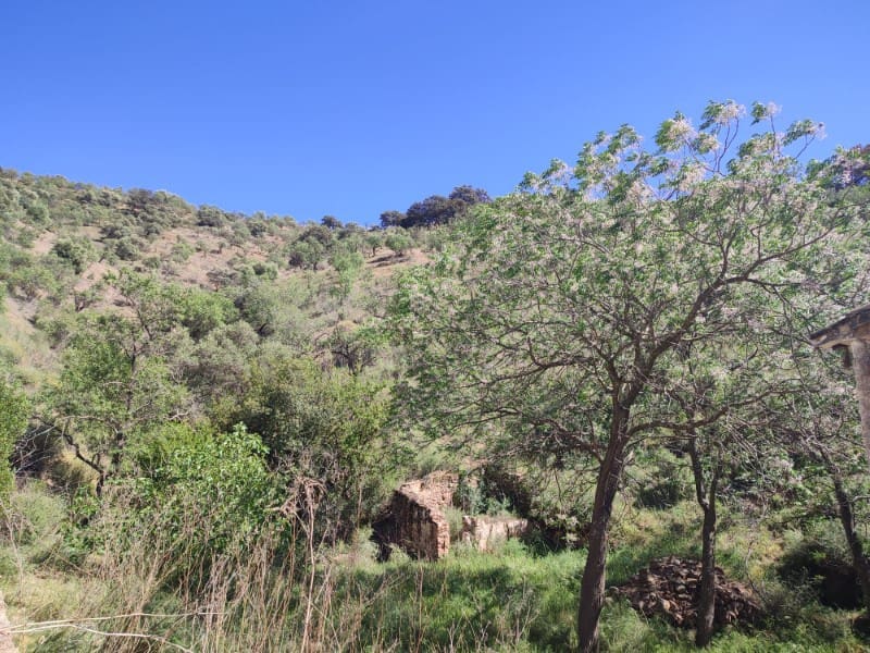 Quinta/Casa Rural para venda em Almogia - 48 000 € (Ref: 8697215)