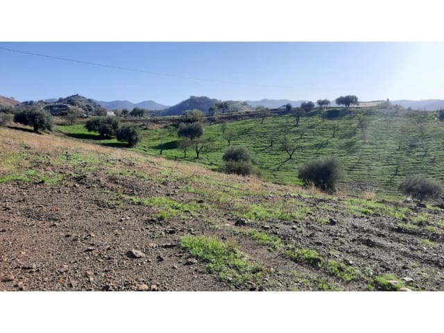 Mark till salu i Almogía - 127 000 € (Ref: 8697218)