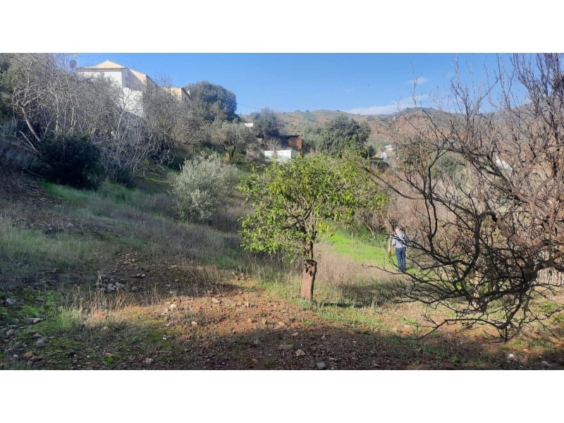 Grunde uden byggetilladelser til salg i Almogia - € 127.000 (Ref: 8697218)