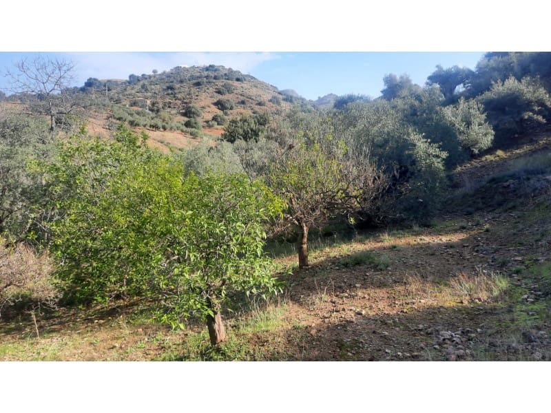 Grunde uden byggetilladelser til salg i Almogia - € 127.000 (Ref: 8697218)