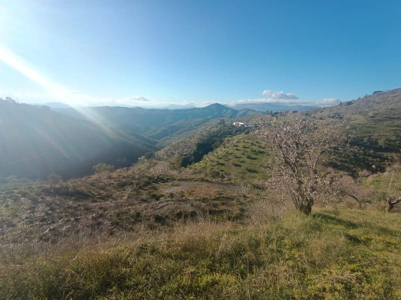 Grond te koop in Casabermeja - € 29.900 (Ref: 8781879)