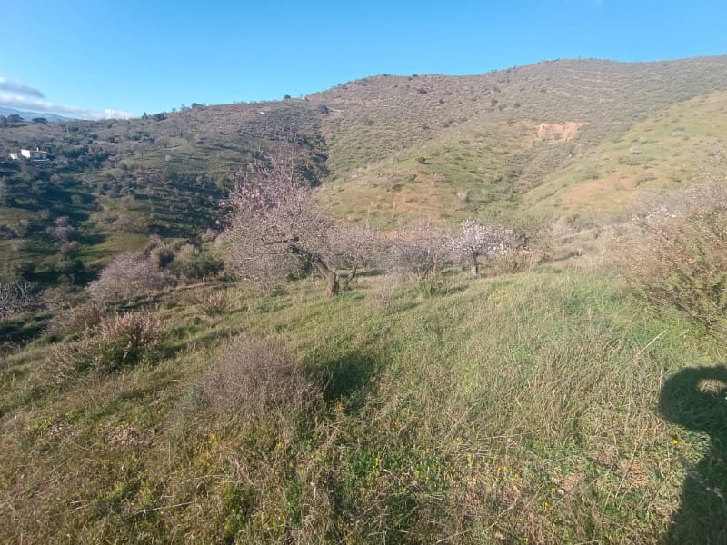 Grond te koop in Casabermeja - € 29.900 (Ref: 8781879)