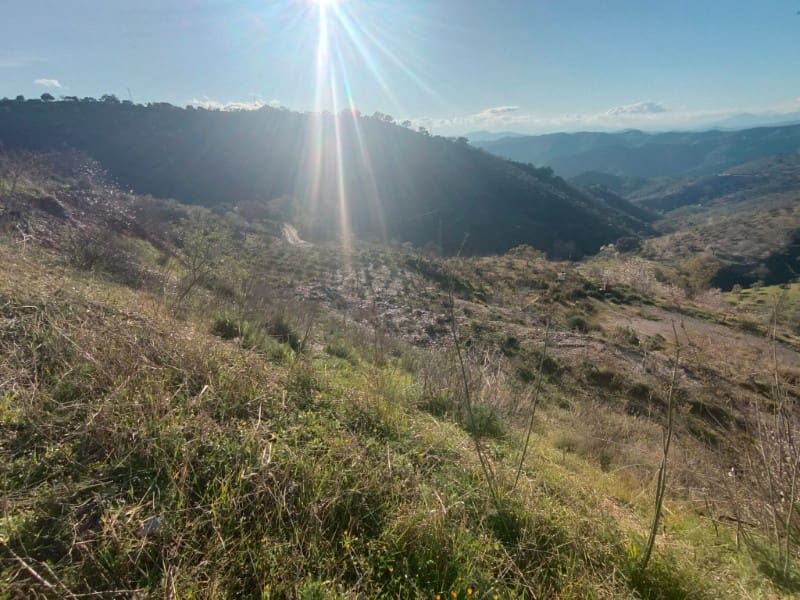 Grond te koop in Casabermeja - € 29.900 (Ref: 8781879)