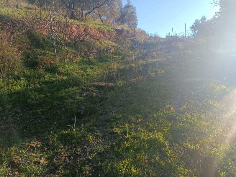 Grond te koop in Casabermeja - € 29.900 (Ref: 8781879)