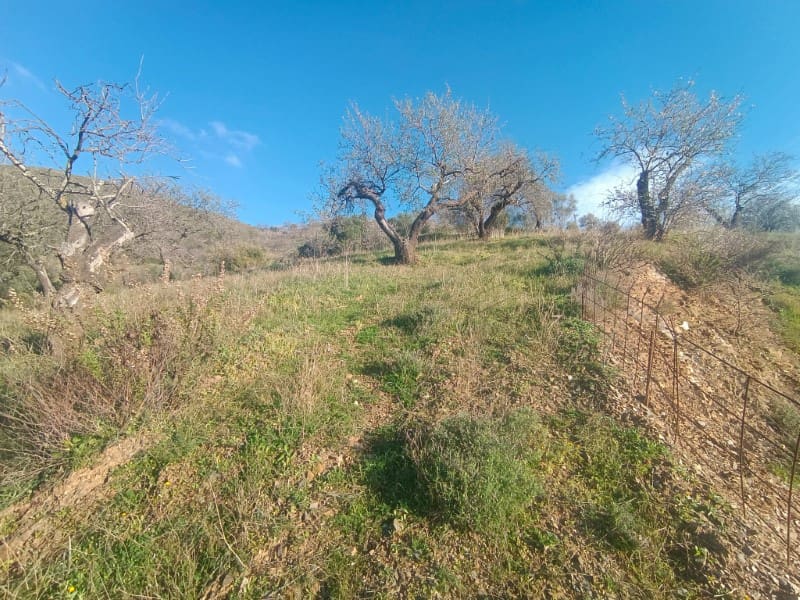 Grond te koop in Casabermeja - € 29.900 (Ref: 8781879)